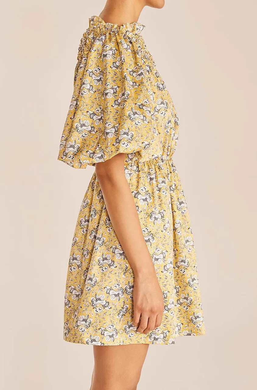 Intaglio Rose Smocked Dress | Intaglio Rose Limeaide Combo REBECCA TAYLOR